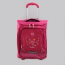 Delsey,  , 3398700-24